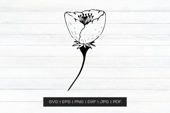 Hand Drawn Floral Clip Art for Graphics and Crafts